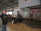 W nowoczesnej fermie krów w Niechłodzie