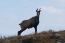 Zielona Szkoła – Tatry